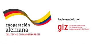 Logo GIZ